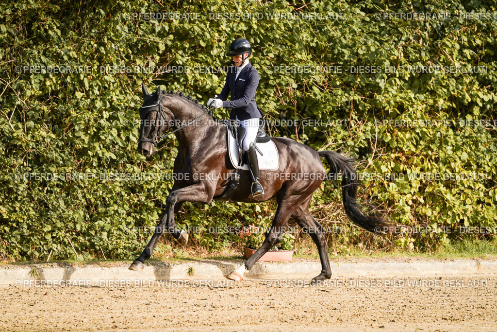 DSC04807 | Pferdegrafie