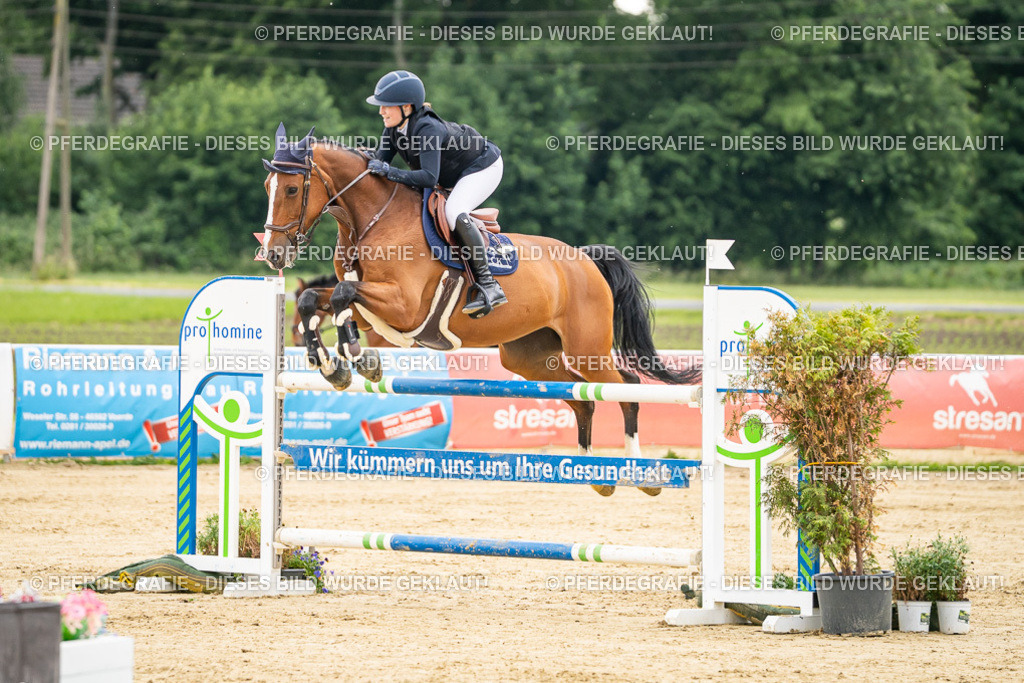 DSC06264 | Pferdegrafie