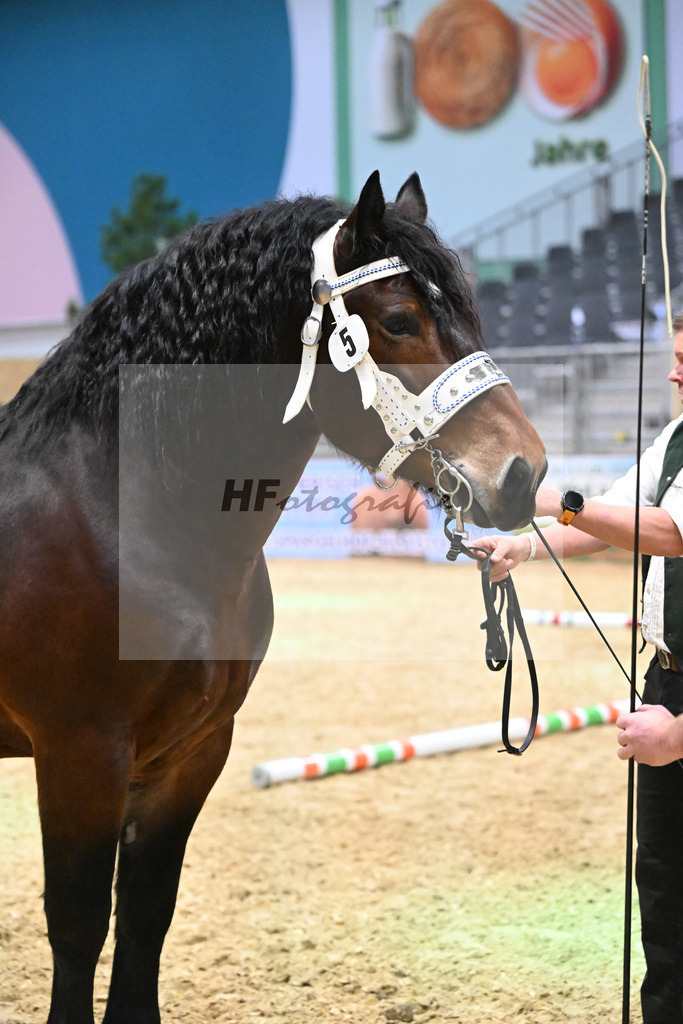 Kat-Nr. 5 Rubino II v. Rivero_Klement_1260099 | hf-fotografie - Realisiert mit Pictrs.com