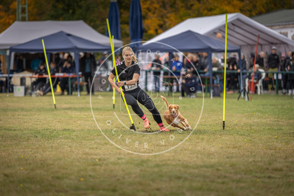 Pfotenfotografie_DV3A7466 | Hundefotografie, Tierfotograf, Pfotenfotografie, Fotoshooting Hund, Hunde Portrait, Hundesport, Hundeportraits, Heideshooting, Hunde, Sportfotograf, Hundefotograf, Turnierhundsport, THS,  - Realisiert mit Pictrs.com