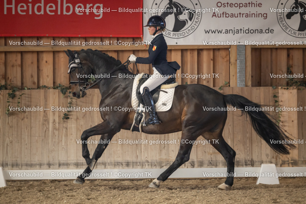 _D5A2975 | Emotionale Pferde- & People-Fotografie rund um Heidelberg, Leimen & Umgebung. Natürliche Fotos von Pferd, Mensch & Familie. Jetzt Termin sichern!