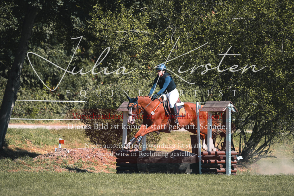 DSC_7994-2 | Pferde- und Turnierfotografie in Westsachsen. Pferdeportraits, Auftragszeichnungen und intuitive Kunst.