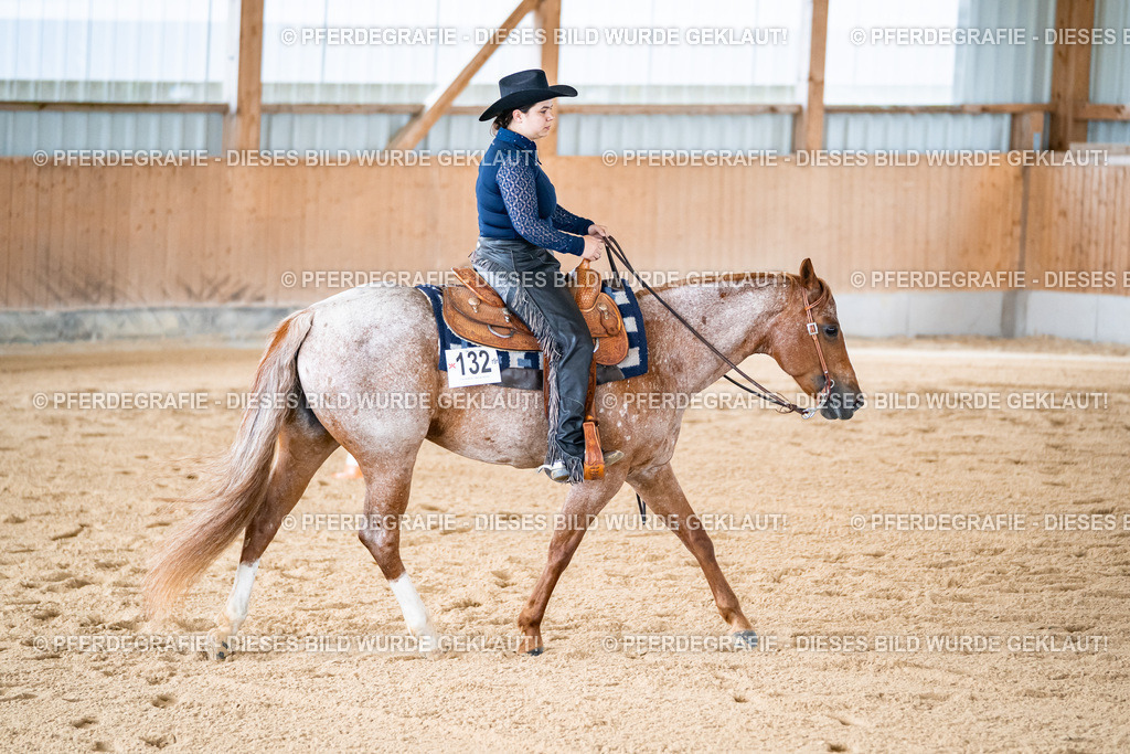 DSC01979 | Pferdegrafie