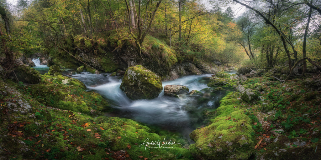 Flusspanorama | Andre Wandrei - Nature Artworx - Realisiert mit Pictrs.com