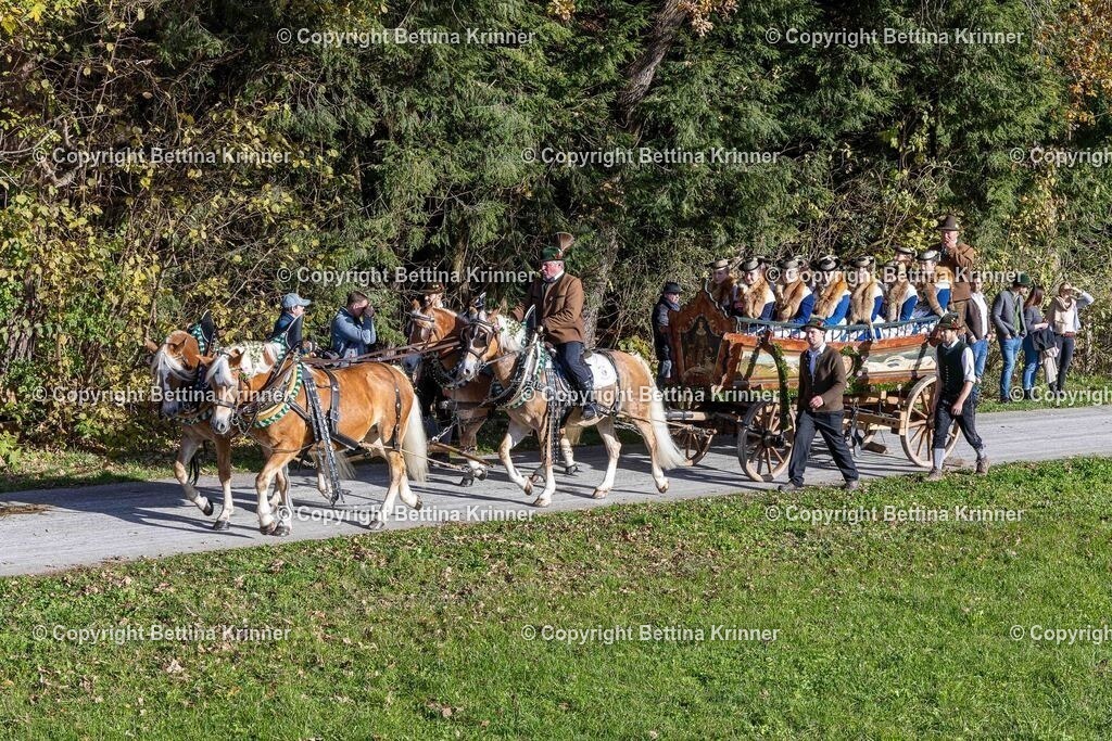LBT24-640 | foto-bettina-krinner - Realisiert mit Pictrs.com