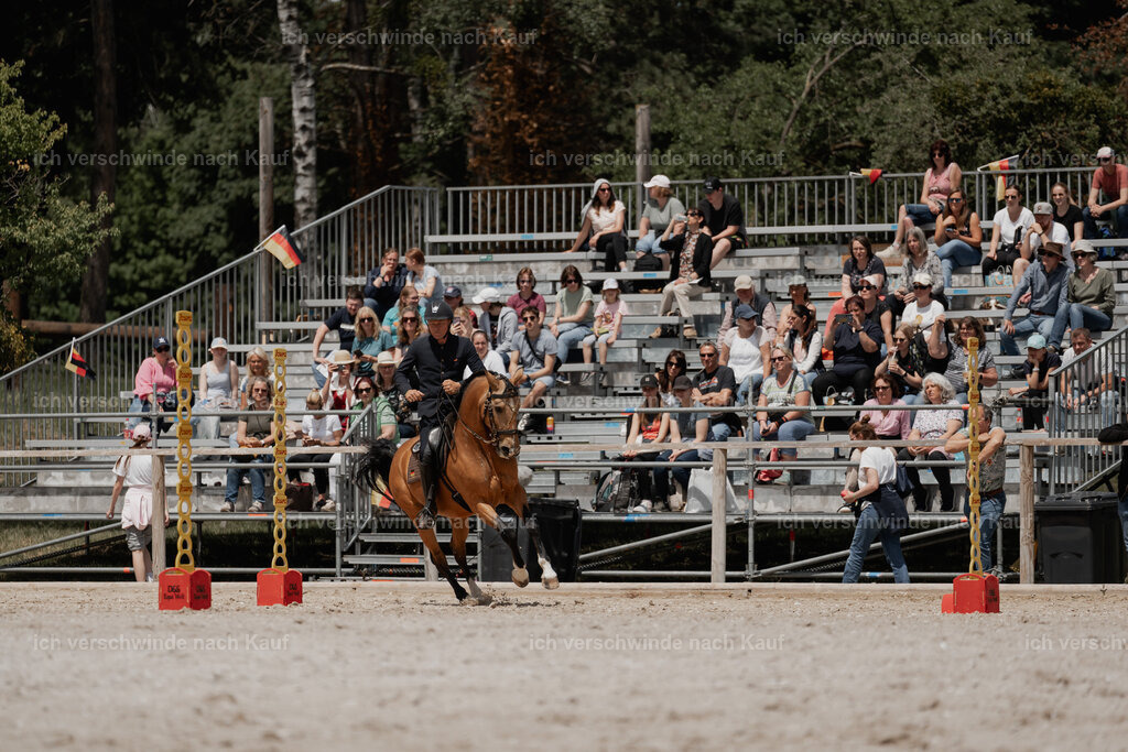 WE_ST_Stoib_311_PI2025_1207 | Pferd International München 2025