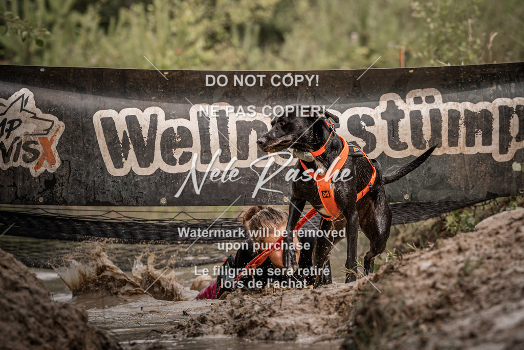 nelerasche_Hoope2026_Sa1100-1130_01 | nelerasche