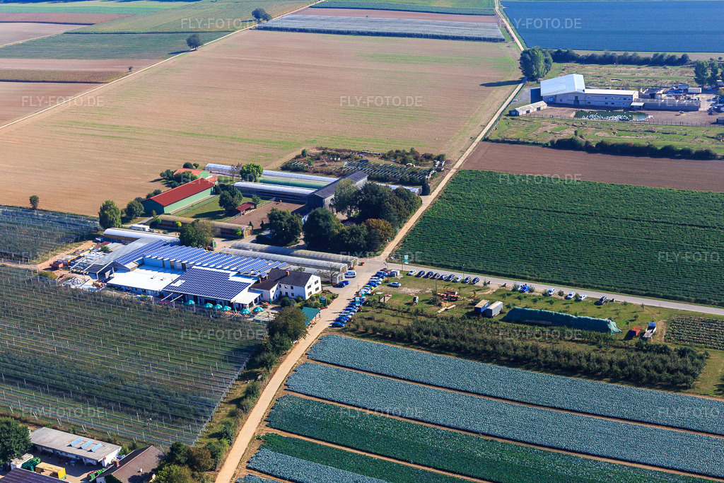 Luftbild: Zapf Hofmarkt in Kandel im Bundesland Rheinland-Pfalz in Deutschland. Foto: IMG_095012.jpg vom 24.09.2016 durch Werner Riehm/FLY-FOTO.deHofmarkt Zapf Kandel