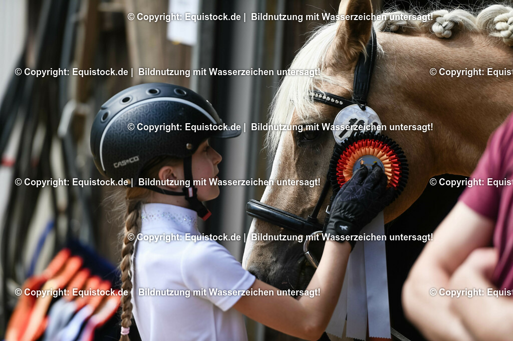 20230716_11_Führzügel-WB_0234 | equistock