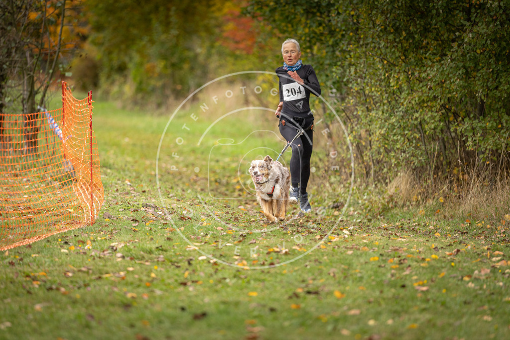 Pfotenfotografie_DV3A4157 | Hundefotografie, Tierfotograf, Pfotenfotografie, Fotoshooting Hund, Hunde Portrait, Hundesport, Hundeportraits, Heideshooting, Hunde, Sportfotograf, Hundefotograf, Turnierhundsport, THS,  - Realisiert mit Pictrs.com