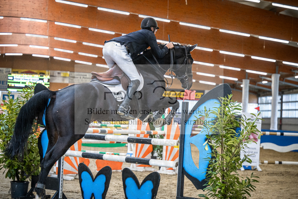 DOS_0100 | Entdecke hochwertige Reitturnierfotos von Foto Oger. Professionell, emotional und authentisch – jetzt Lieblingsmomente im Shop bestellen.Deutschlandweite Turnierfotografie. - Realisiert mit Pictrs.com