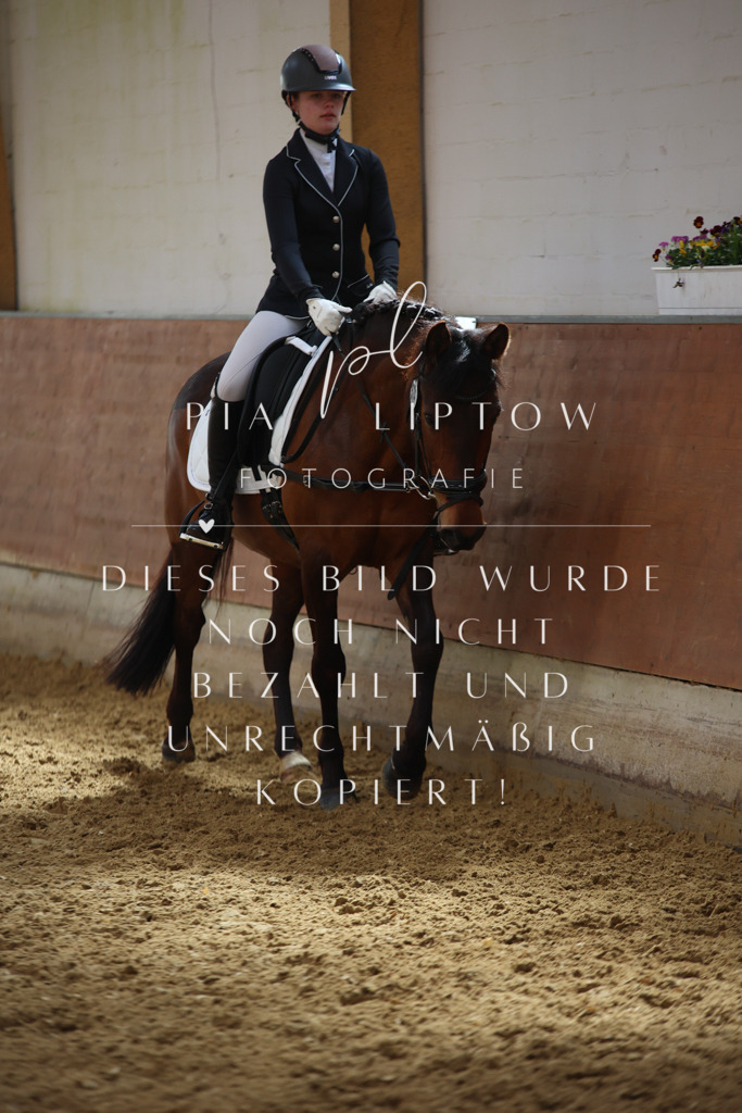 IMGT3598 | pl-fotografie