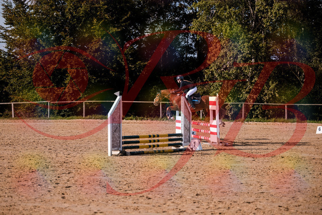 2026_10_03_Siefer-Hof_155815_Z81_78131879 | Professionelle Reitsport-, Turnier- und Eventfotografie von Robert Broda. Galerien mit ausgewählten und bearbeiteten Bildern direkt online ansehen und bestellen.