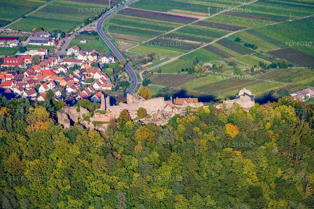 Luftbild: Burgruine Madenburg von Westen in Eschbach im Bundesland Rheinland-Pfalz in Deutschland. Foto: IMG_13686.jpg vom 28.09.2008 durch Werner Riehm/FLY-FOTO.de