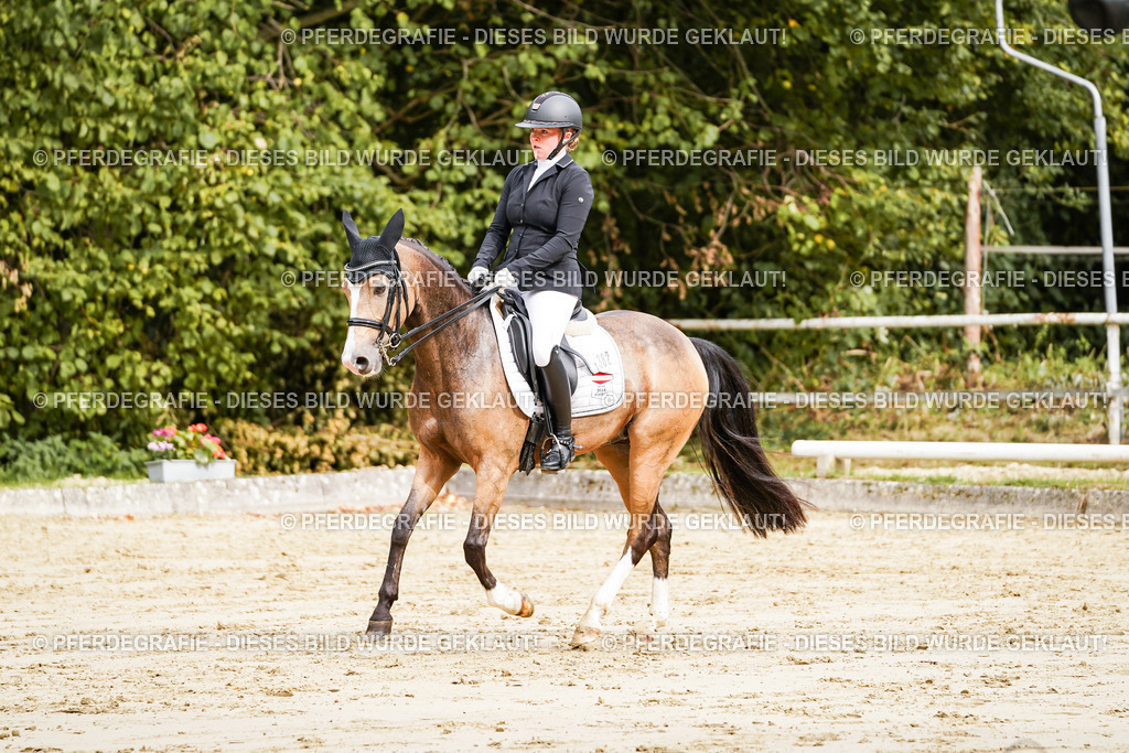 DSC02870 | Pferdegrafie