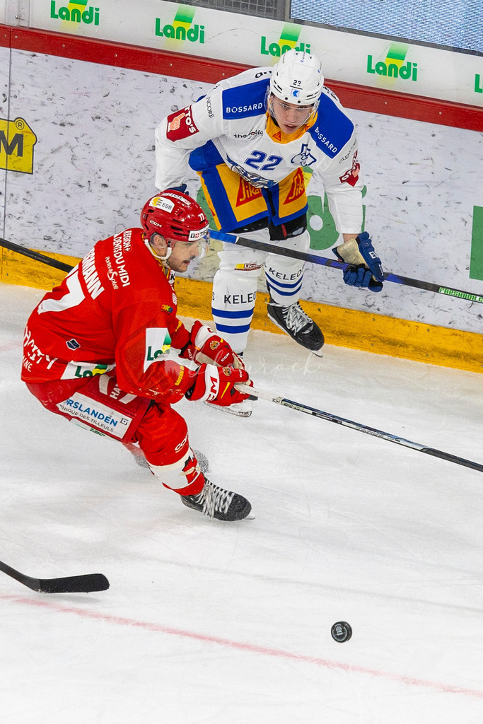 EHCB vs EVZ 20260227_WB-7400 | Sportbilder, Sportfotograf, Hochzeits- und Eventfotografin, Flugshows, Portraits und Tiershooting, Aviation, Downhill, Nationalleague, Swissleague, International