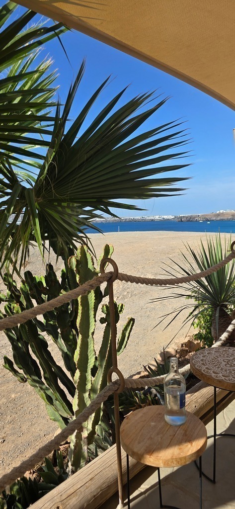 20241202_131107 | Heilkarten - Realisiert mit Pictrs.com