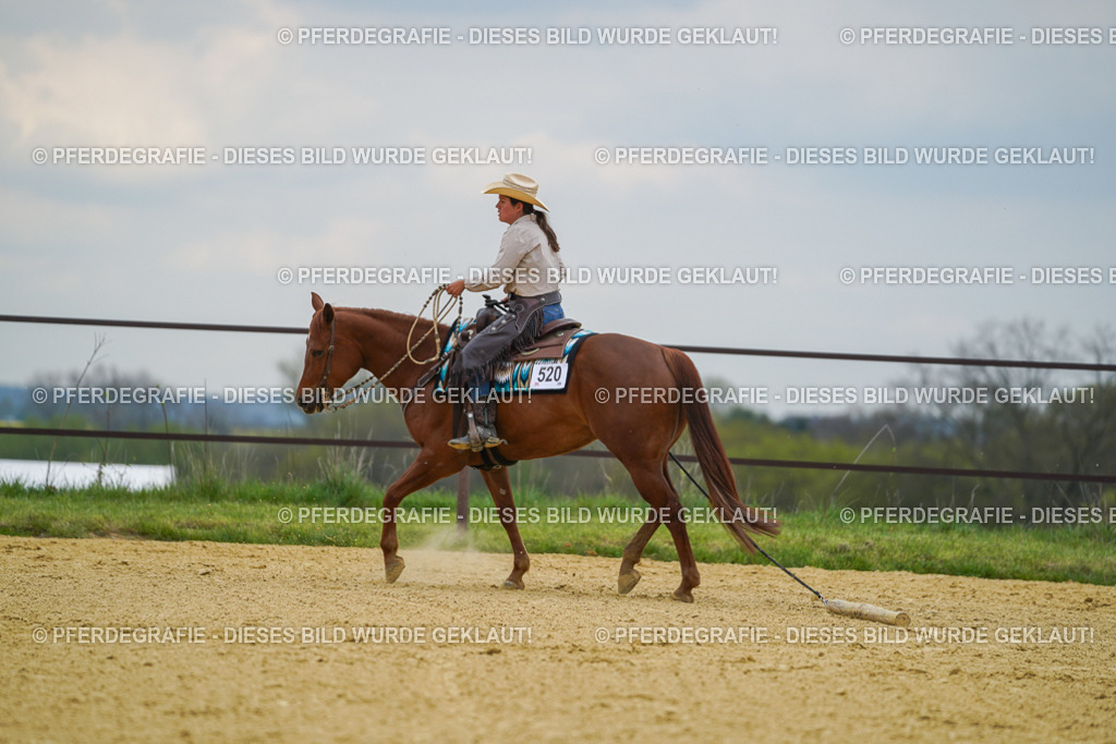 DSC07252 | Pferdegrafie