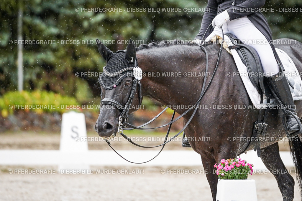 DSC08498 | Pferdegrafie