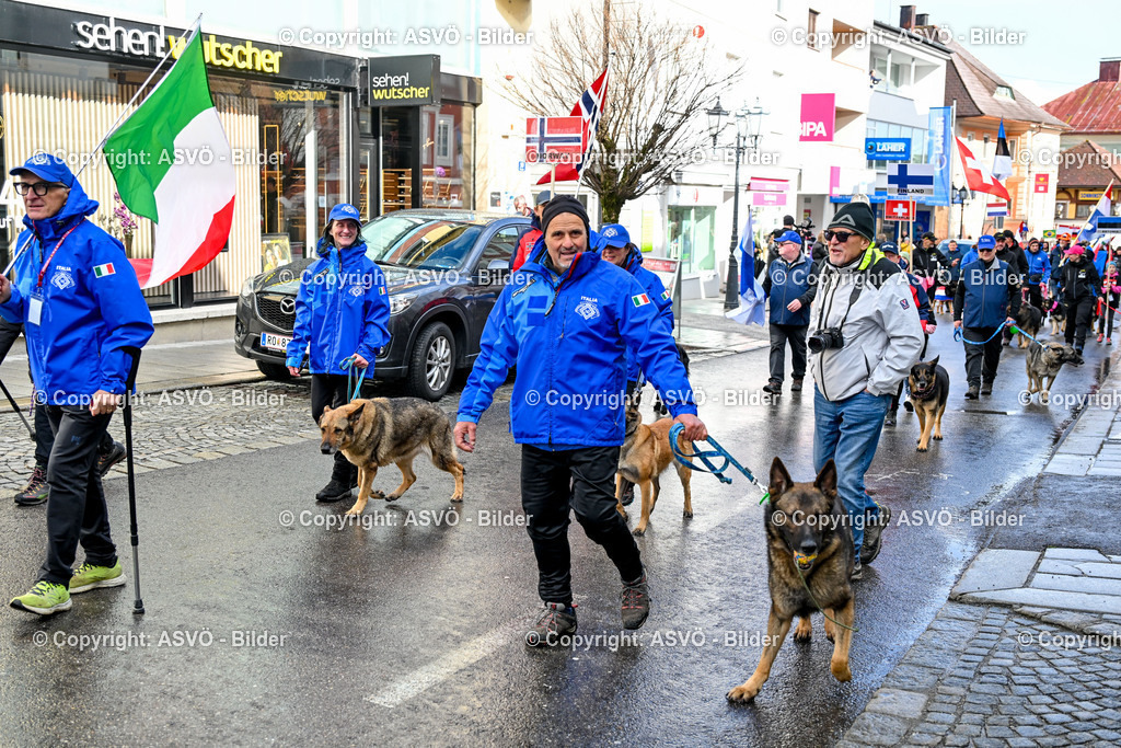 ASVÖ_ Tracking Dog World Championship 2025_ 31.03.2025-194 | 31.03.2025, AUT, ASVÖ, Tracking Dog World Championship // FCI IGP Fährtenhundeweltmeisterschaft 2025©fodo.media / Harald Dostal - Realisiert mit Pictrs.com