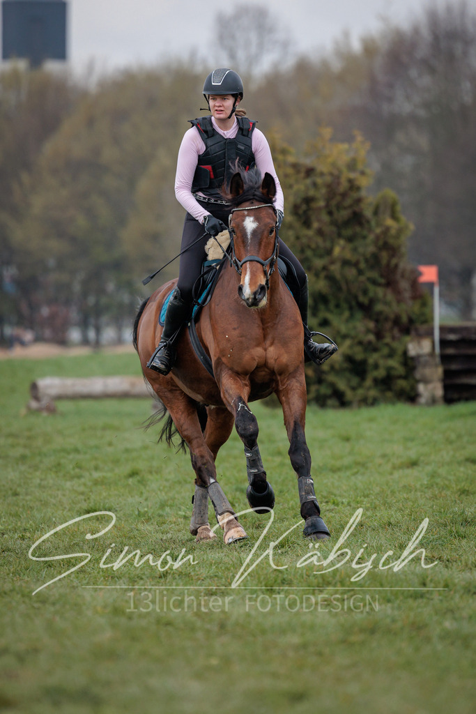 20260329-_3LI3965 | Tierfotografie Pferde, Hunde, Katzen, Haustiere.
Turnierfotografie Reitturniere, Reiten, Springreiten, Dressur in Hanau, dem Main-Kinzig-Kreis und dem Rhein-Main- Gebiet um Frankfurt