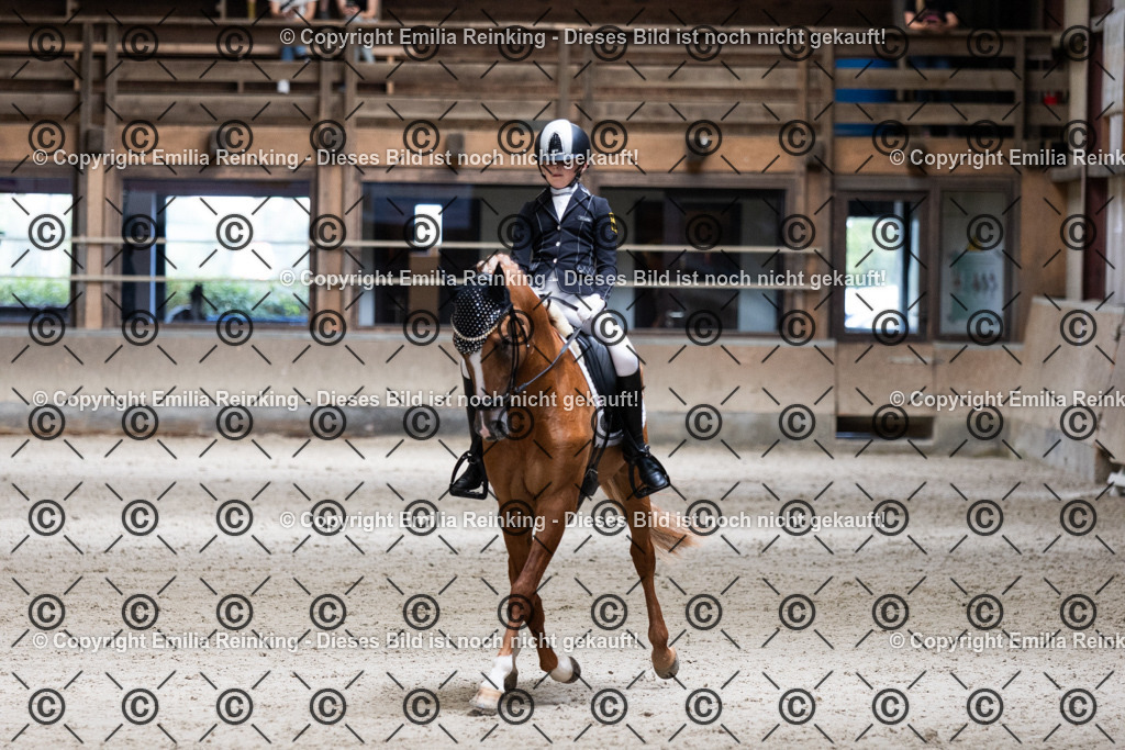 CL5A4028 | Emilia Reinking Fotografie - Realisiert mit Pictrs.com