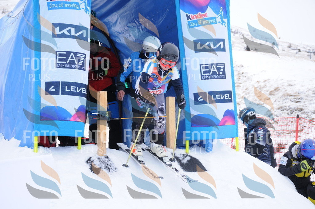 DSC_9235 | holidayphoto