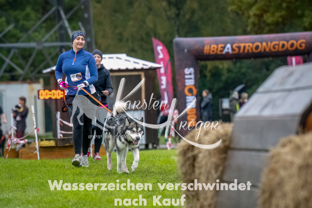 1027-2-15 | kk-dogfotos