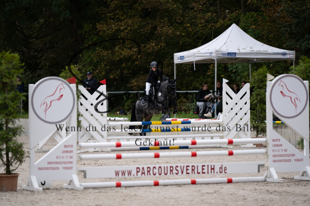 A7V09700 | Pferdefotograf