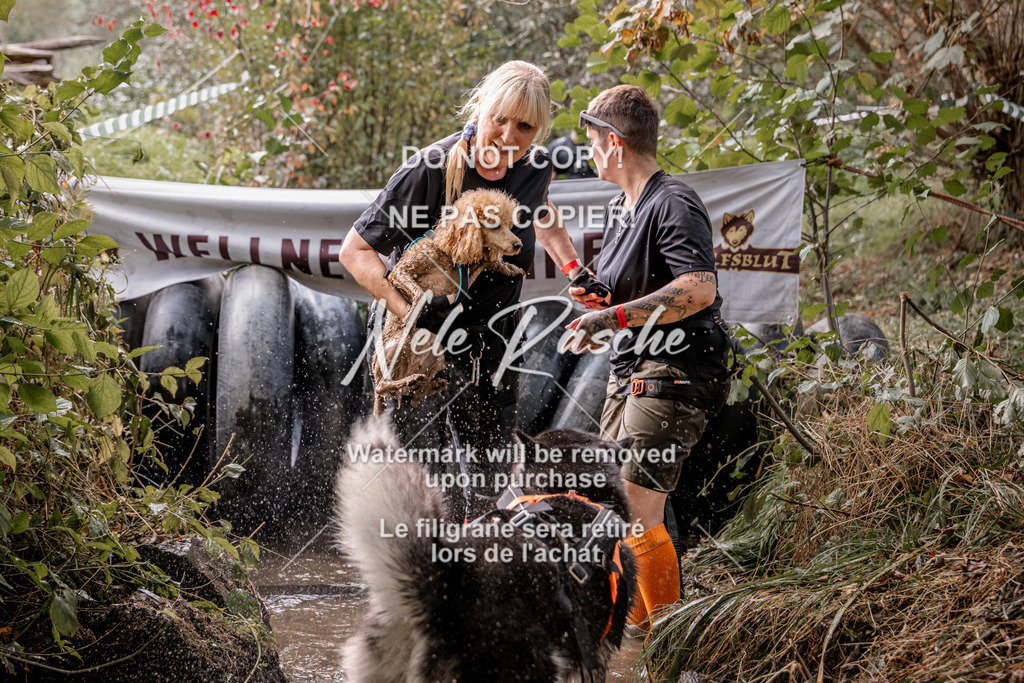 nelerasche_Hunsrück2026_Sa1400-1500_168 | nelerasche