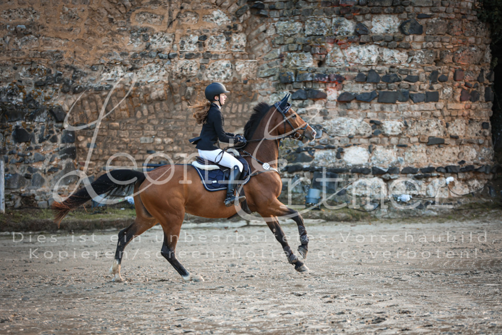 14.SoSpA200203 | Leoni Ertmer Photography - Realisiert mit Pictrs.com