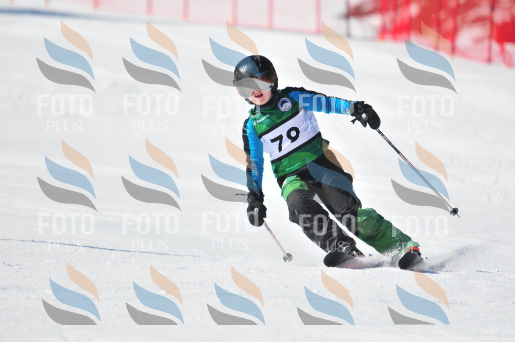 C3080 | holidayphoto