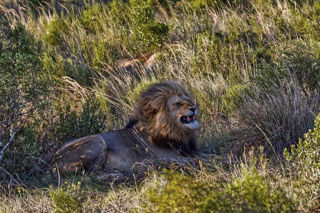 1H5A7214a | ansichtssache