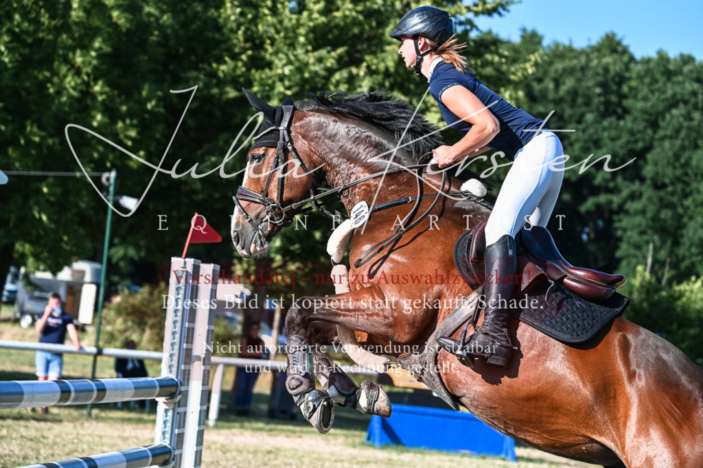 DSC_2876 | Pferde- und Turnierfotografie in Westsachsen. Pferdeportraits, Auftragszeichnungen und intuitive Kunst.
