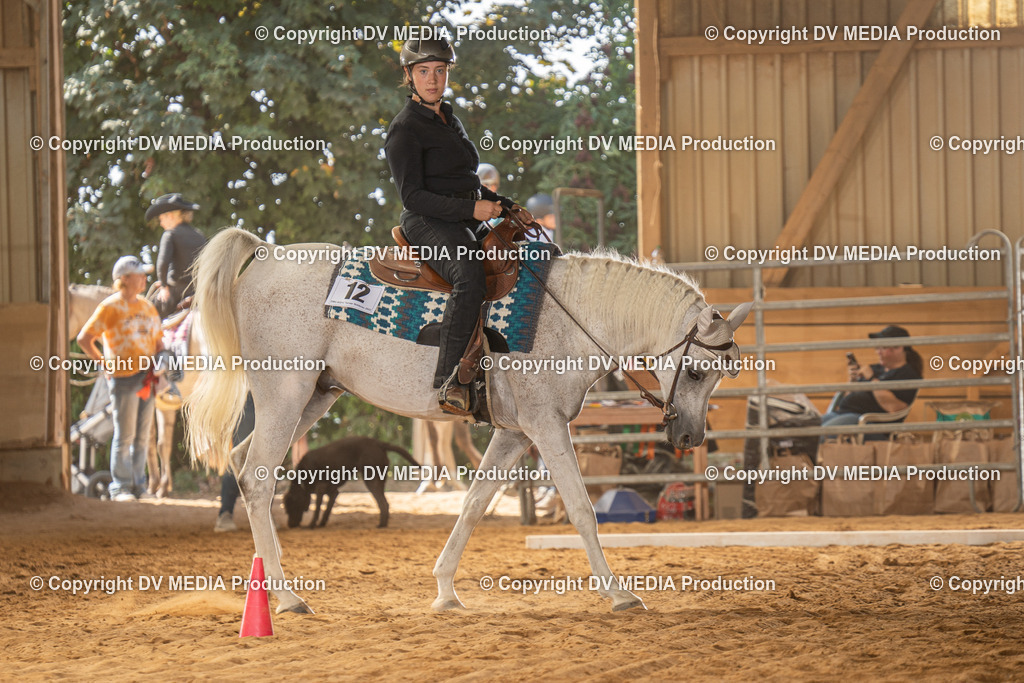 NID02937 | dv-media-shop - Realisiert mit Pictrs.com