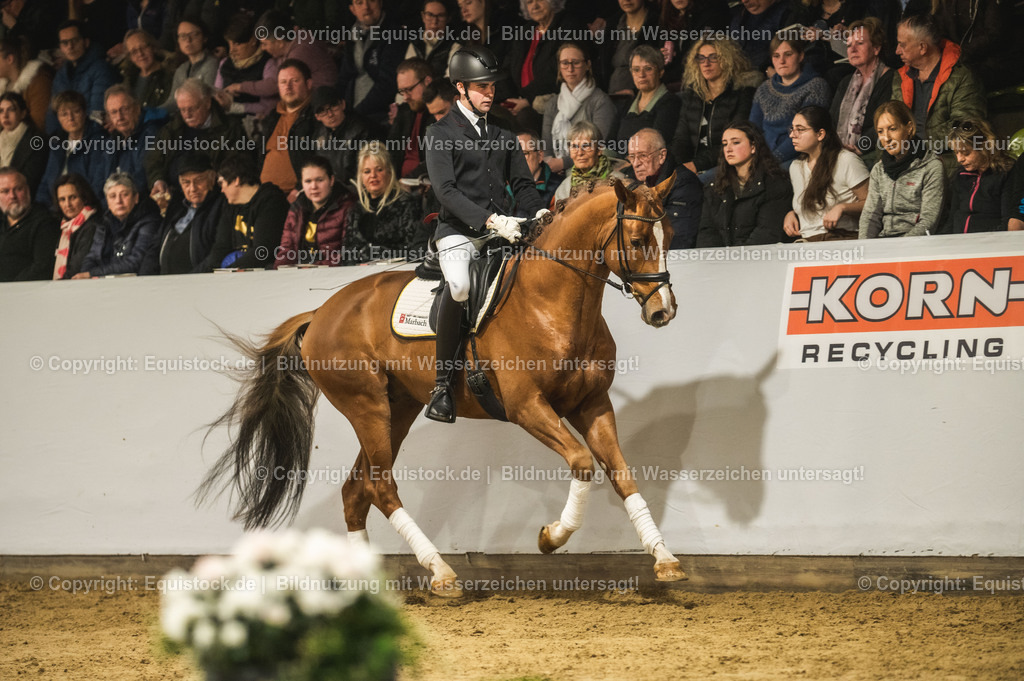 20240302_Hengstvorstellung_Marbach_TOMsPiC_0340 | equistock