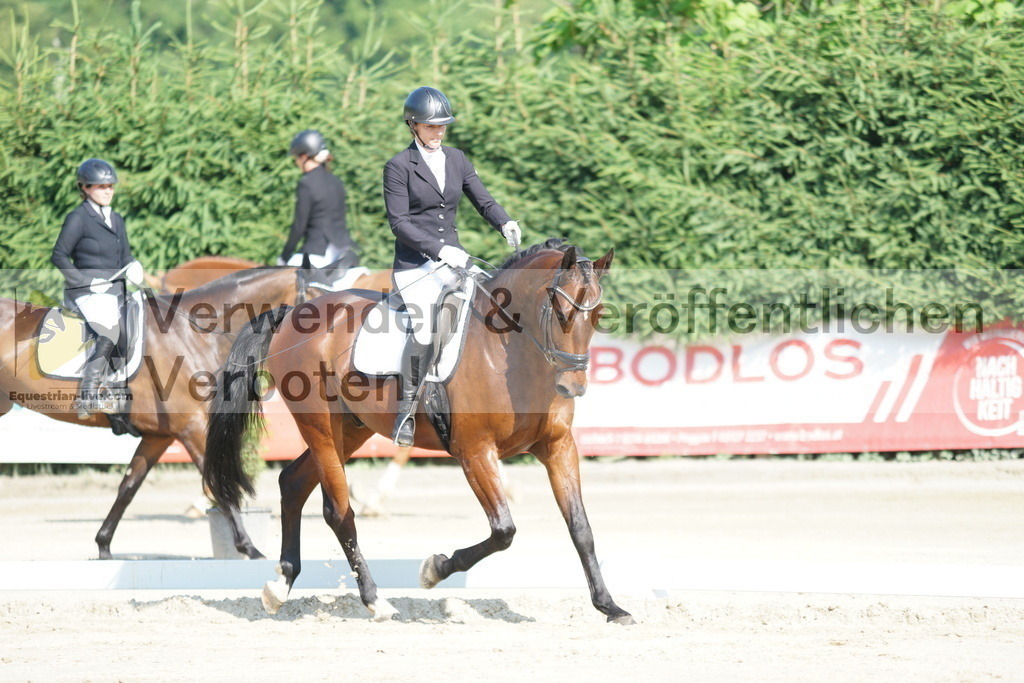 DSC01314 | equestrian-live-com
