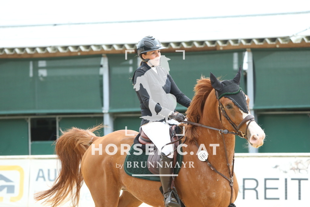 DL2Q0971 | Willkommen bei Brunnmayr - Design & Fotografie – Ihrem Spezialisten für Reitturniere und Pferdeveranstaltungen in Oberösterreich, Salzburg und Bayern! Seit über 17 Jahren sind wir leidenschaftlich dabei.