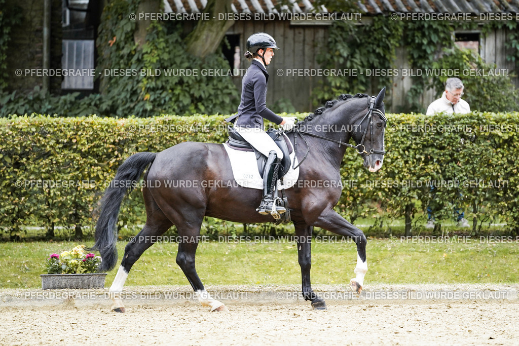 DSC09707 | Pferdegrafie