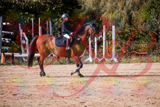 2026_10_03_Siefer-Hof_143727_Z81_06002677 | Professionelle Reitsport-, Turnier- und Eventfotografie von Robert Broda. Galerien mit ausgewählten und bearbeiteten Bildern direkt online ansehen und bestellen.