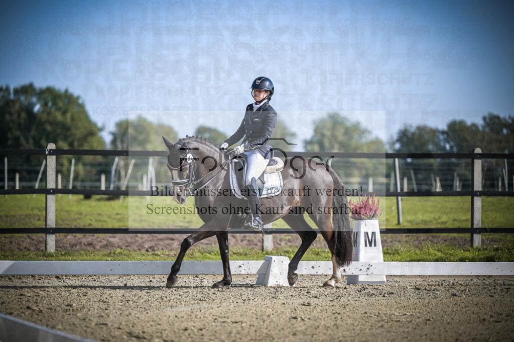 DOS_0668 | Entdecke hochwertige Reitturnierfotos von Foto Oger. Professionell, emotional und authentisch – jetzt Lieblingsmomente im Shop bestellen.Deutschlandweite Turnierfotografie. - Realisiert mit Pictrs.com