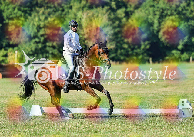 20260628_14a_VA_Dressur-51 | JS-Photostyle - Sport-/Portrait- & Eventfotografie