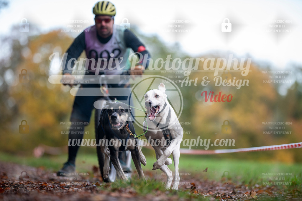 DBT_DAKM_SA_4_11_2023_DS2-11 | PayLife