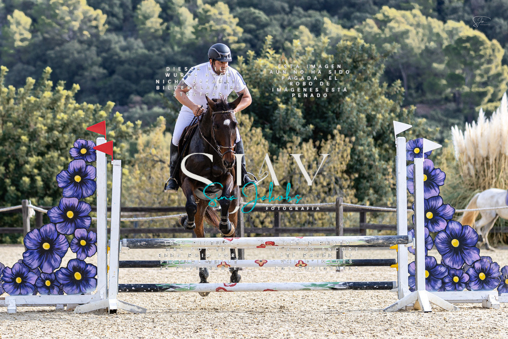 IMG_5817 | s-jay-photography - Realisiert mit Pictrs.com