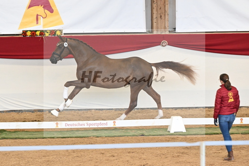 Kat.-Nr. 58 v. Filox_Rothenberger_3260630 | hf-fotografie - Realisiert mit Pictrs.com