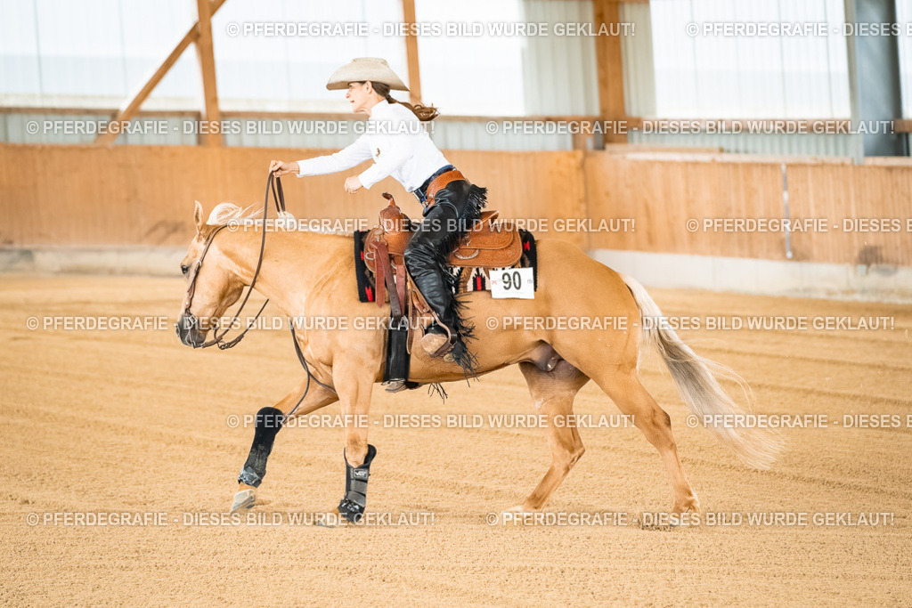 DSC02581 | Pferdegrafie