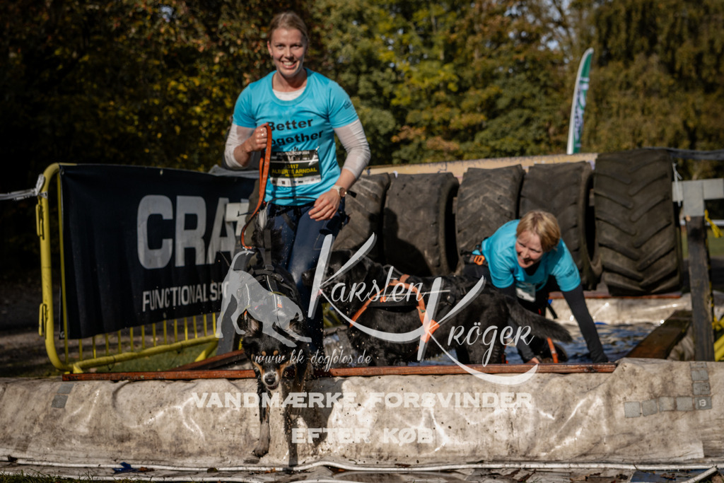 1345_ZZ92922 | kk-dogfotos