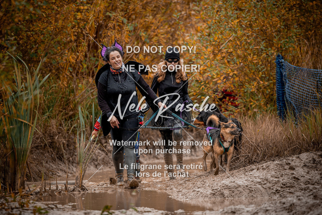 nelerasche_Creepy2025_Sa12-13_17 | nelerasche