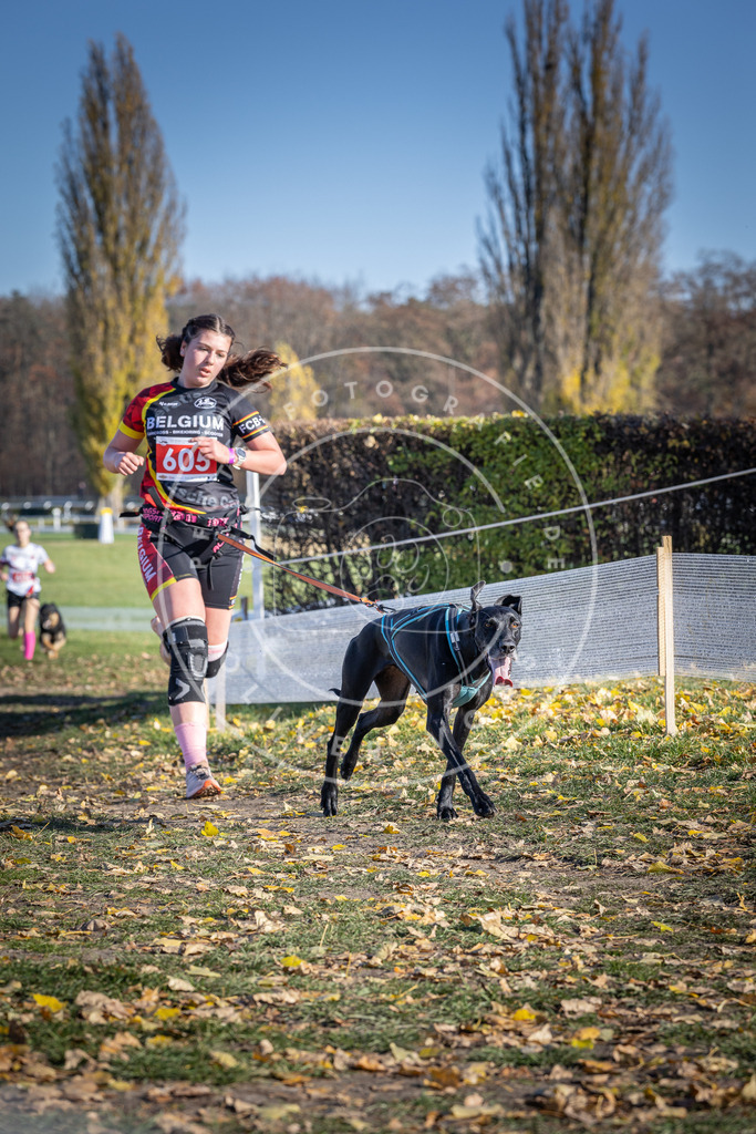 CaniXpix_DV3A9617 | Hundefotografie, Tierfotograf, Pfotenfotografie, Fotoshooting Hund, Hunde Portrait, Hundesport, Hundeportraits, Heideshooting, Hunde, Sportfotograf, Hundefotograf, Turnierhundsport, THS,  - Realisiert mit Pictrs.com