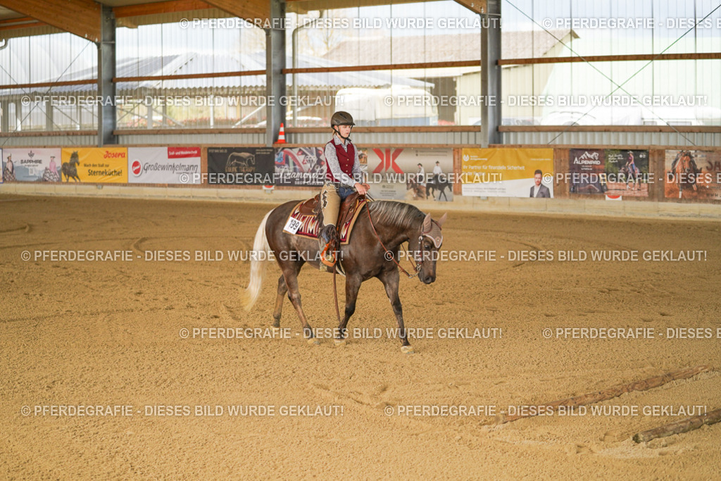 DSC05697 | Pferdegrafie